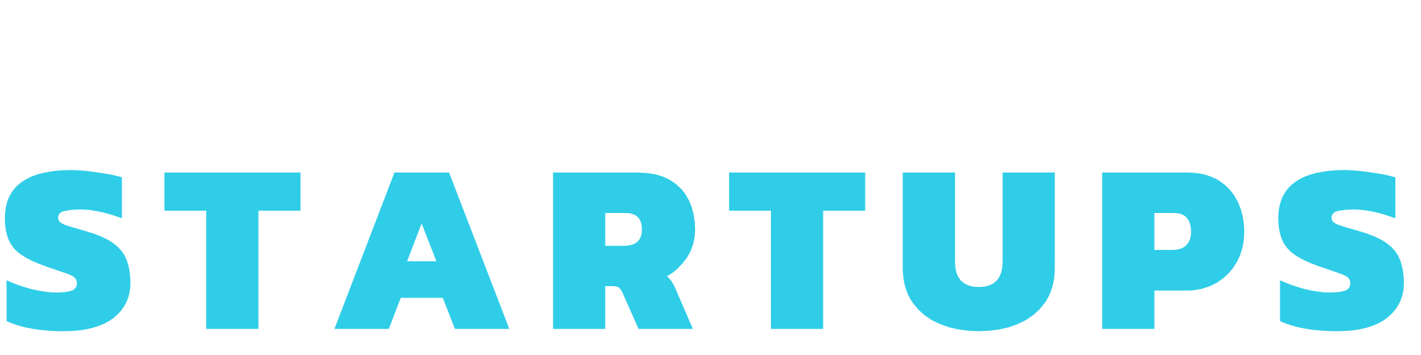 Wellcrafted Startups